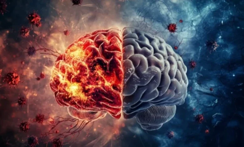 لماذا يمتلك البعض ذاكرة حديدية؟ 